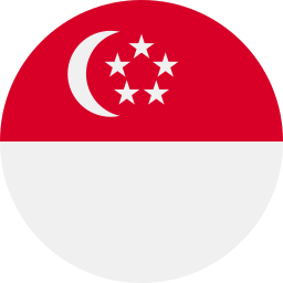 Singapore Visitor Visa
